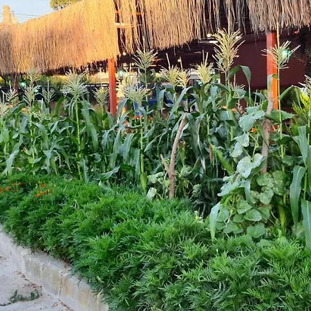 Grand Yayla ホテル 2*