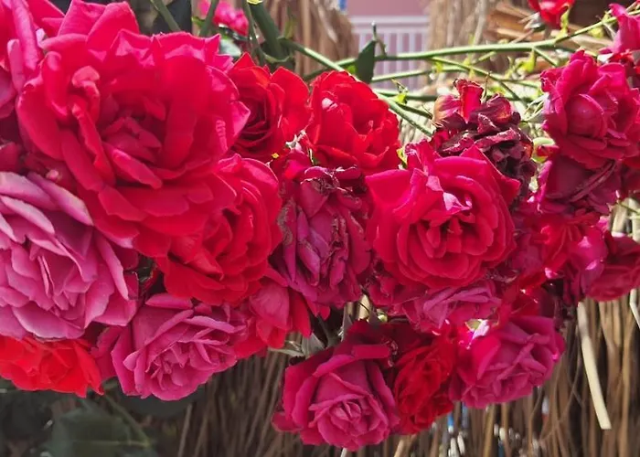 מלון Grand Yayla