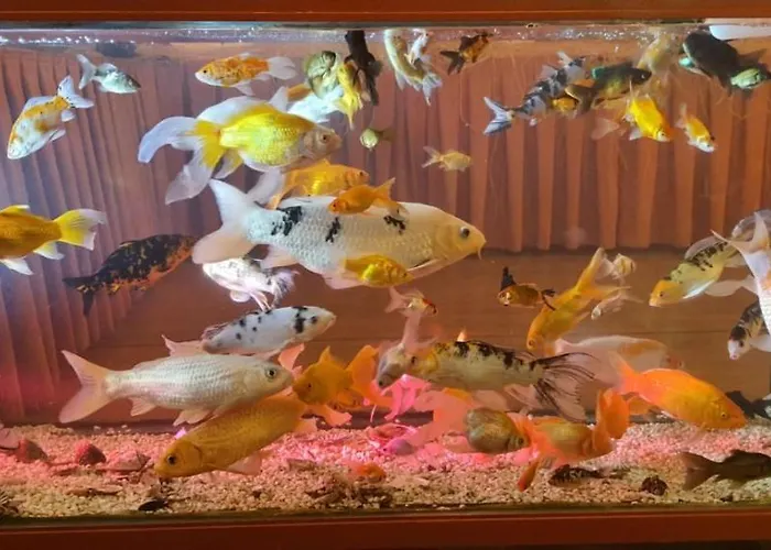 Grand Yayla מלון