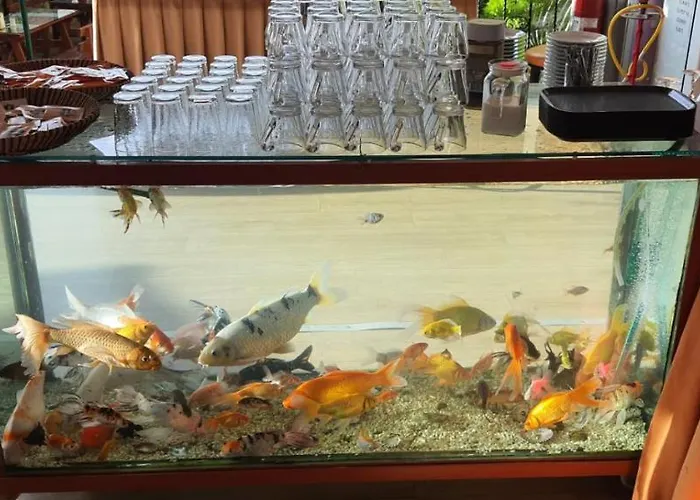 מלון Grand Yayla 2*