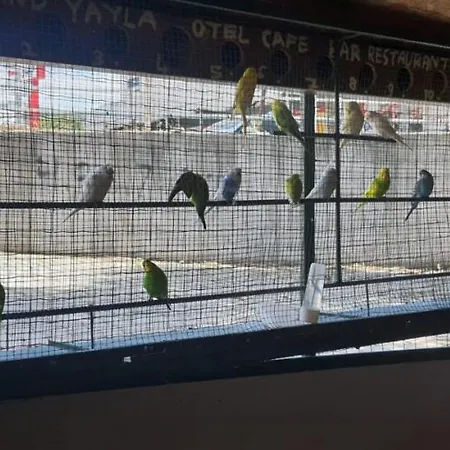 Grand Yayla Кешме