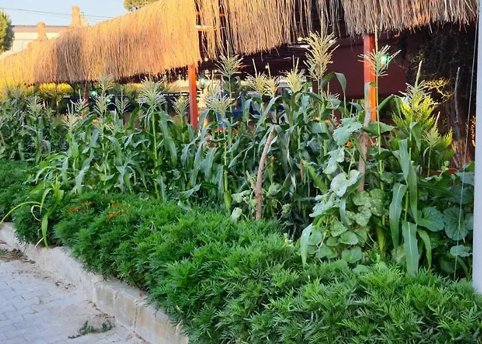 Grand Yayla Готель 2*