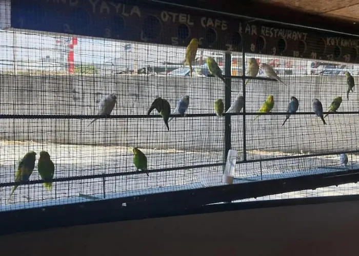 Grand Yayla Чешме